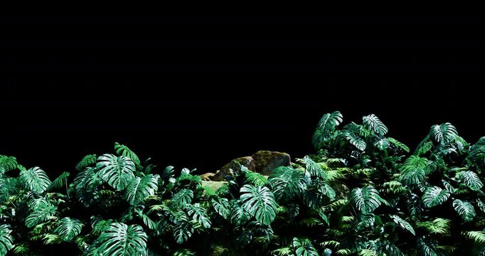 Front View In Rainforest is alpha motion footage for seasonal films and cinematic in lifestyle summer scene. Also good background for scene and titles, logos