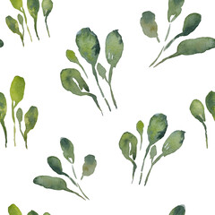 Watercolor pattern leaves, green branches, flowers botanical illustration isolated on transparent background	
