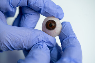 Ocularist holding brown prosthetic eye in gloved hands