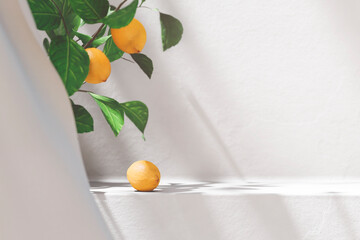 Empty white table with fresh lemon tree and natural light shadow. Food product podium placement...