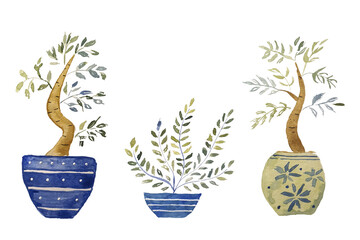 Leaves, branches in a vase, watercolor drawing, eco
