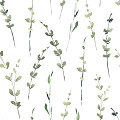 Watercolor pattern leaves, green branches, flowers botanical illustration isolated on transparent background	