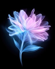 A delicate, ethereal flower illustration glowing in shades of pink and blue against a dark background, showcasing a blend of art and nature.