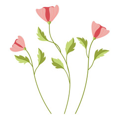 Beautiful pink flowers on a stem with green leaves on a white background. Summer and spring flowering. Vector illustration. Flower clipart for design of posters, cards, logo, label, print.