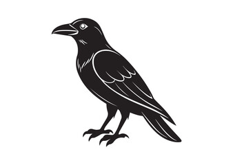 Raven or crow silhouette vector design