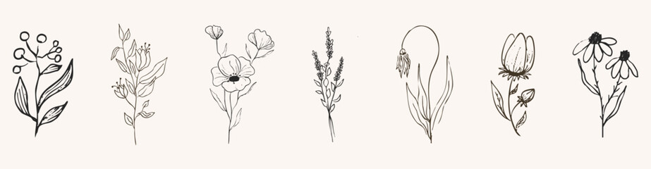 Floral botanical feminine wild flower summer line sketch drawing. Trendy minimal elements wedding herbs, minimalistic flowers with elegant leaves. Tiny tattoo, elegant rustic
