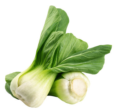 Bok Choy isolated on white background, full depth of field