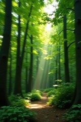 Obraz premium Sunbeams Illuminate a Serene Forest Path, Motion Blur Effect Creates a Dreamlike Atmosphere