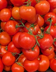 Grupo de tomates en racimo en exhibición en el mercado local