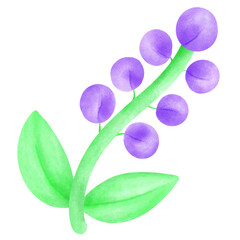 Berry Plant Purple Cute drawing.