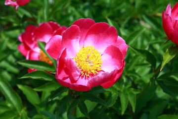 남해 사찰 암자 절 석가탄신일