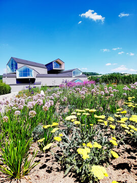 WEIL AM RHEIN, GERMANY - JULY 20, 2020. Meadow designed by Piet Oudolf at the Vitra Design Museum on grey day , one of the world's iconic design museum.