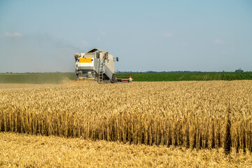 Obraz premium Combine harvester at work on a wheat field under a clear blue sky