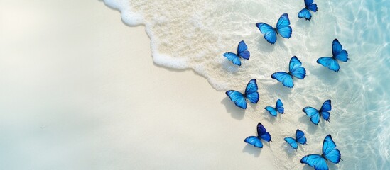 Fototapeta premium Summer banner. Blue butterflies on the shore. A surreal vision of a beach with blue butterflies floating above the foam of the waves. The picture emphasizes the beauty of nature and fantasy.