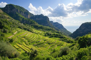 Valle Delle Ferriere. Terraced Fields and Mountains in Amalfi Coast, Italy. Mediterranean Agriculture on Limestone Mountains