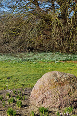im Berggarten Herrenhausen in Hannover