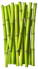 Obraz premium PNG Green bamboo stems with nodes