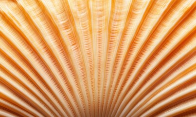 Intricate patterns and warm earthy tones showcased in a detailed close-up of a seashell.