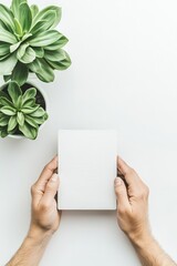 Obraz premium Two hands gently grasp a blank notebook alongside vibrant green succulents, showcasing a clean aesthetic ideal for inspiration, planning, or creativity