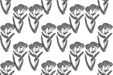 Line art botanical seamless floral pattern with wildflowers vector illustration. Black outline repeating medicinal plants in white background. Graphic design for Fashion Cover Textile Coloring Page