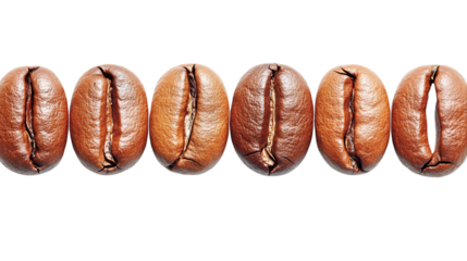 A set of numbers formed entirely from roasted coffee beans, viewed from above. transparent PNG