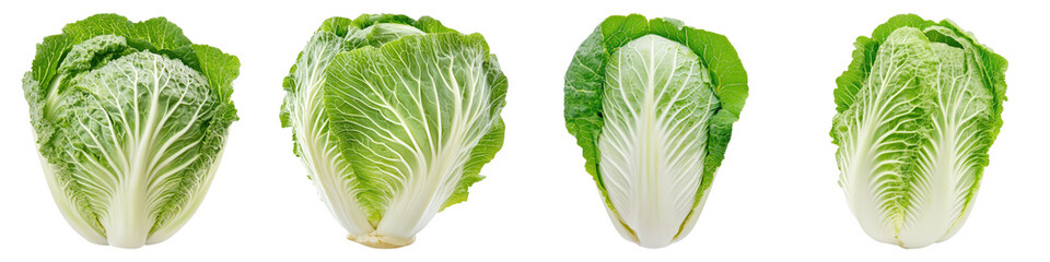 Chinese cabbage isolated on transparent background. PNG , Set of