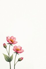 Soft pastel wallpaper with delicate flower sketches on a white background, stylish, decor, timeless