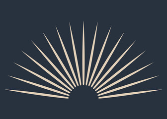 Sunburst firework explosion. Retro hand drawn sparkle. Bursting or light rays, linear drawing. trendy hand drawn retro isolated design element