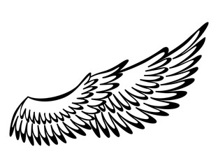 Wings sketch. Stylized birds wings. Hand drawn contoured stiker wing in open position. design elements in coloring style