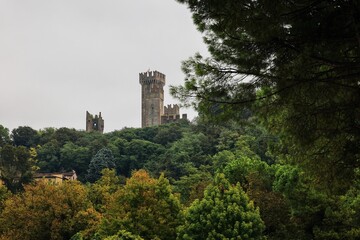 Fototapeta premium Medieval castle tower amidst lush forest.