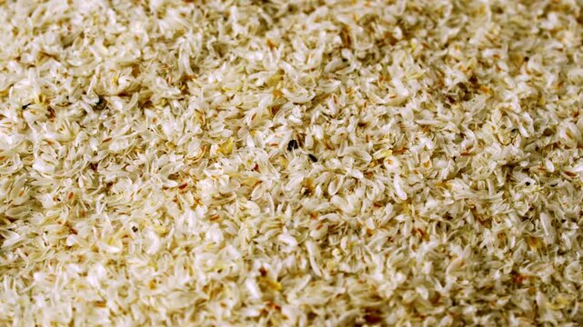 closeup pile of psyllium husk video footage 4k rotation background texture 