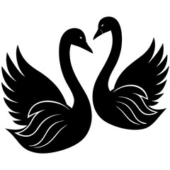 black swan vector