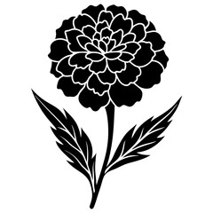 hand drawn flowers