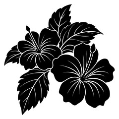black and white flower isolated