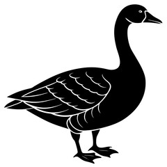 goose isolated on white background