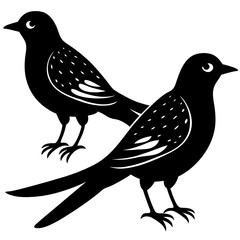bird on a branch