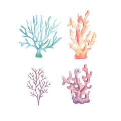 Fototapeta premium Watercolor illustration of seaweed and corals