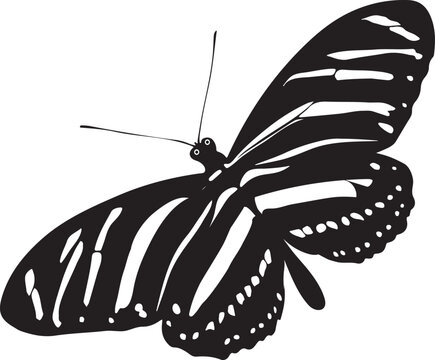 Zebra longwing butterfly silhouette vector style with white background.