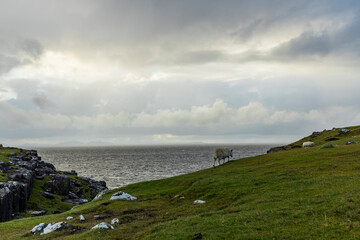 Neist Point at sunset is a breathtaking sight—its lighthouse stands against dramatic cliffs, with waves crashing below. A rainbow arches over the ocean, painting the rugged Isle of Skye magical light