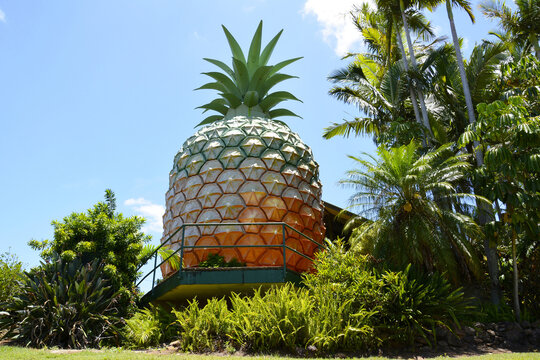 Woombye, Queensland, Australia &ndash; December 14, 2015. 16m-high Big Pineapple in Woombye, QLD. 