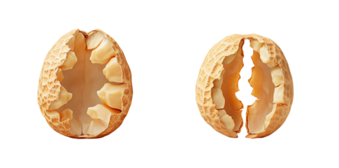 Two halves of an empty peanut shell, natural tan color, organic snack, healthy food, culinary ingredient, dry  transparent background