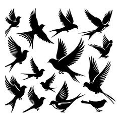 Silhouettes of various flying birds including eagles and doves in a vector illustration