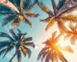 Looking Up at Tropical Palm Trees Against Bright Sunny Sky