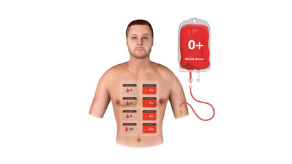 A 3D infographic visualizing O Positive blood donation, transfusion process, and compatibility with recipients in medical settings