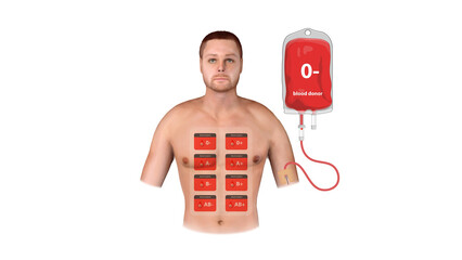A 3D medical illustration of an O negative blood donor showing transfusion, recipient compatibility, and a detailed blood type matching chart, graphic