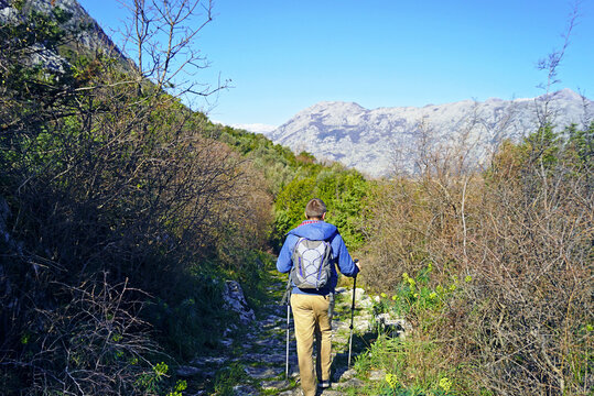 Hiking on Mount Vrmac in Montenegro: a man with a backpack and hiking poles, photographed from behind, walks along a trail surrounded by Mediterranean vegetation. The route is above the town of Prcanj