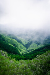 Obraz premium misty morning in the mountains
