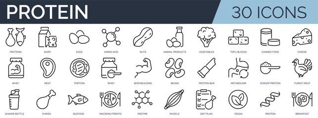 Set of 30 outline icons related to protein. Linear icon collection. Editable stroke. Vector illustration