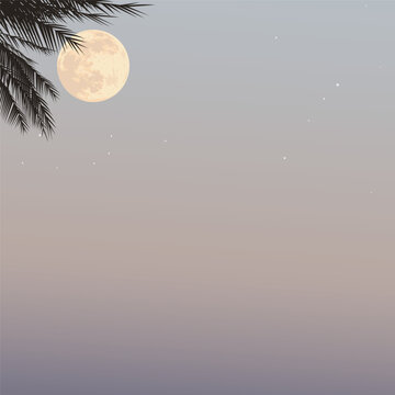 Silhouette palm trees with full moon have vanilla sky square background graphic illustration have blank space.
