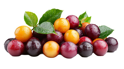 Plums on a transparent background. Plums are available in several colors: yellow, red and dark purple.